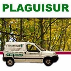 logotipo plaguisur - Plaguisur