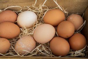 huevos ecologicos 300x200 - Beneficios de los huevos ecológicos