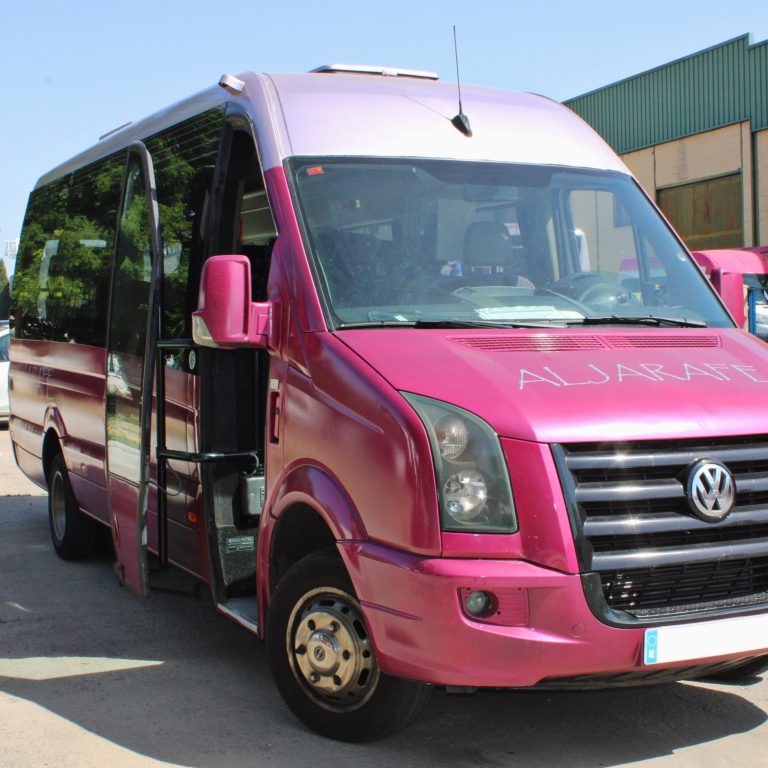 Alquiler de microbuses en Sevilla y minibuses para traslados VIP en la comarca del Aljarafe y centro histórico.